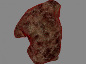 Sculpture Gaddi Torso 3D Model