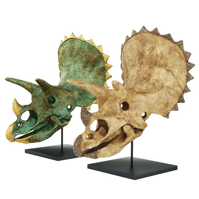 Triceratops skull 3D Model .c4d .max .obj .3ds .fbx .stl .blend 