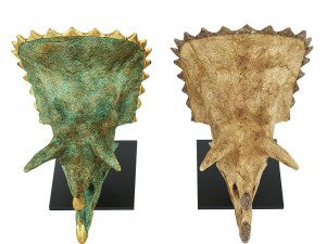 Triceratops skull 3D Model