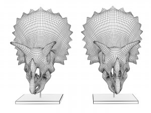 Triceratops skull 3D Model