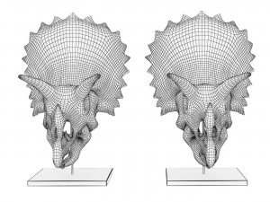 Triceratops skull 3D Model