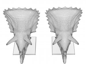Triceratops skull 3D Model