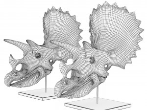 Triceratops skull 3D Model