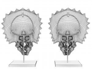 Triceratops skull 3D Model