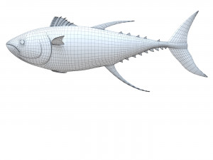 Fish Tuna 3D 모델