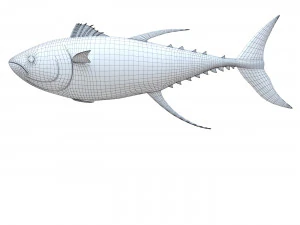 Fish Tuna 3D Model