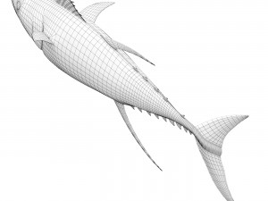 Fish Tuna 3D 모델