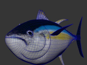 Fish Tuna 3D 모델