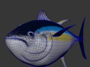 Fish Tuna 3D Model