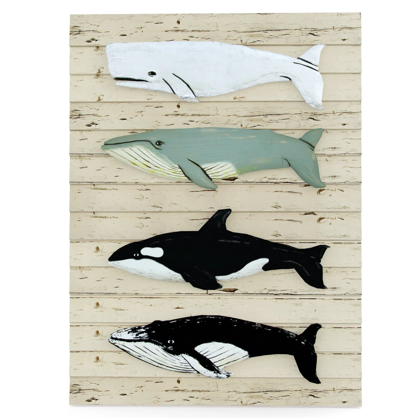 Whales 3D Model .c4d .max .obj .3ds .fbx .stl .blend 