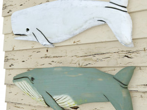Whales Model 3D