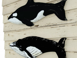 Whales Model 3D