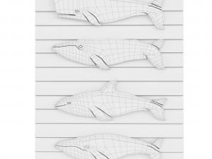Whales Model 3D