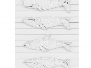 Whales 3D Model