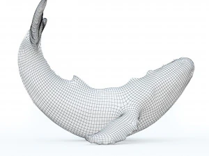 Bronze whale 3D Model