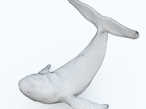 Bronze whale 3D Model