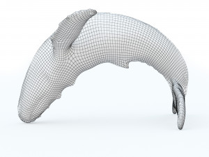 Bronze whale Modèle 3D