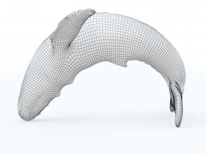 Bronze whale 3D Model