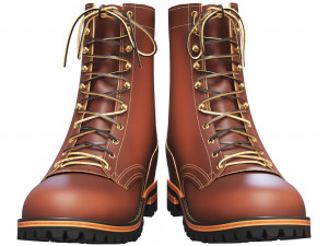 Boots Nicks 3D Model