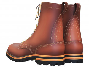 Boots Nicks 3D Model