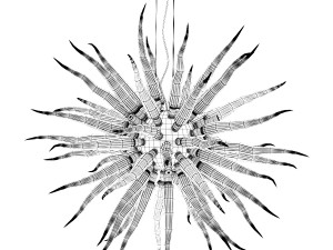 Sole chandelier 3D 모델