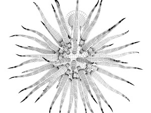 Sole chandelier 3D 모델