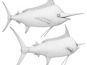 Marlin fish 3Dモデル