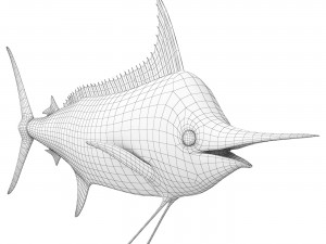Marlin fish 3Dモデル