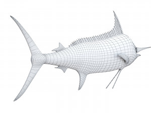 Marlin fish 3Dモデル