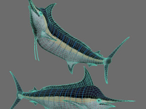 Marlin fish 3Dモデル