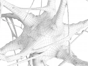 Nerve cell 3Dモデル