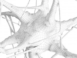Nerve cell 3D Model