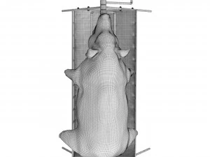 Pig on a skewer 3D Model