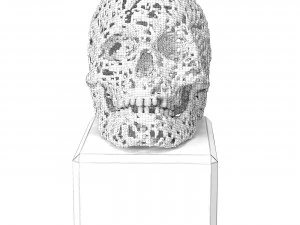 Skull bronze 3D Model