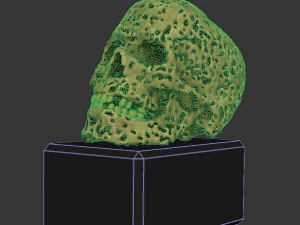 Skull bronze 3D Model