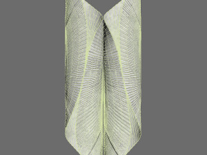 Sconce Wall Lights Filtro Modèle 3D