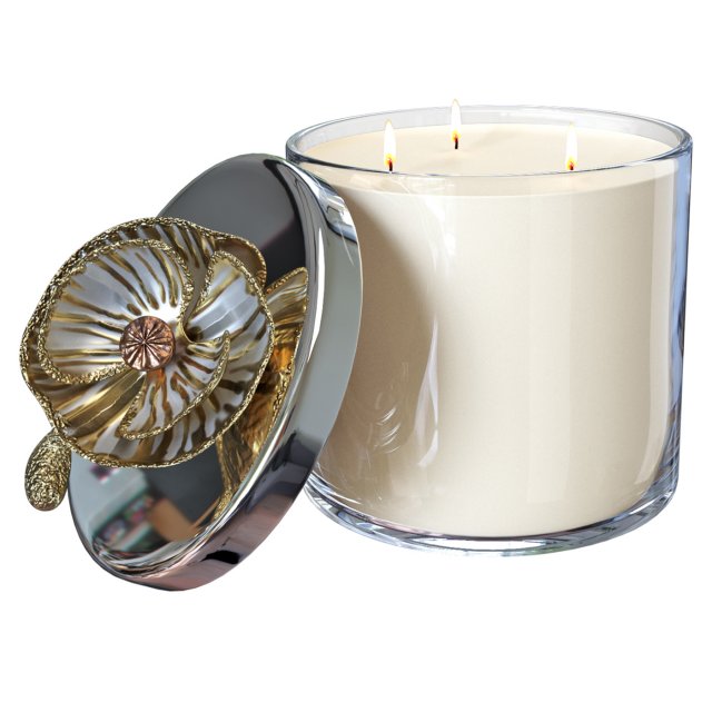 Candle Anemone Modello 3D .c4d .max .obj .3ds .fbx .stl .blend 