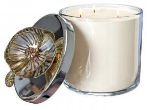 Bougie An&eacute;mone Modèle 3D