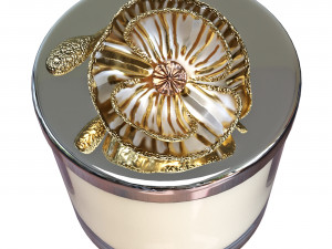 Candle Anemone Modello 3D