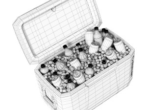 Coleman Cooler Box 70QT Xtreme Cool 3D Model