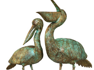 Pelicans 3D Model