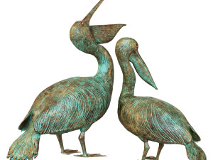 Pelicans Modèle 3D