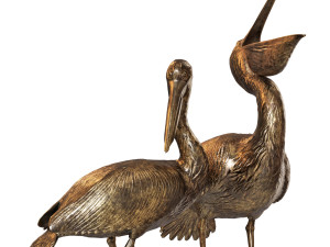 Pelicans Modèle 3D