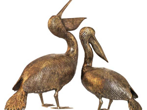 Pelicans 3D Model
