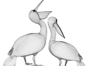 Pelicans Modèle 3D