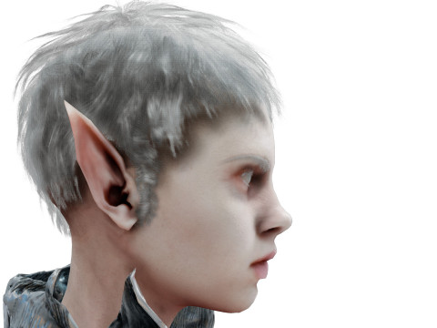 Elf White 3D Model