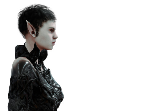Elf Black 3D 模型