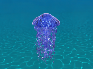 Jellyfish 3D Model