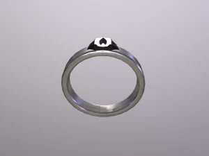 DoubleRingsGoldAndSilver 3D Model