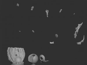 Arrivo di Son Goku Modello 3D